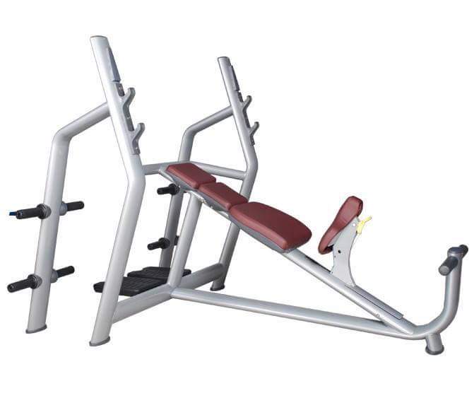 Khung và ghế tập Technogym TNGK014