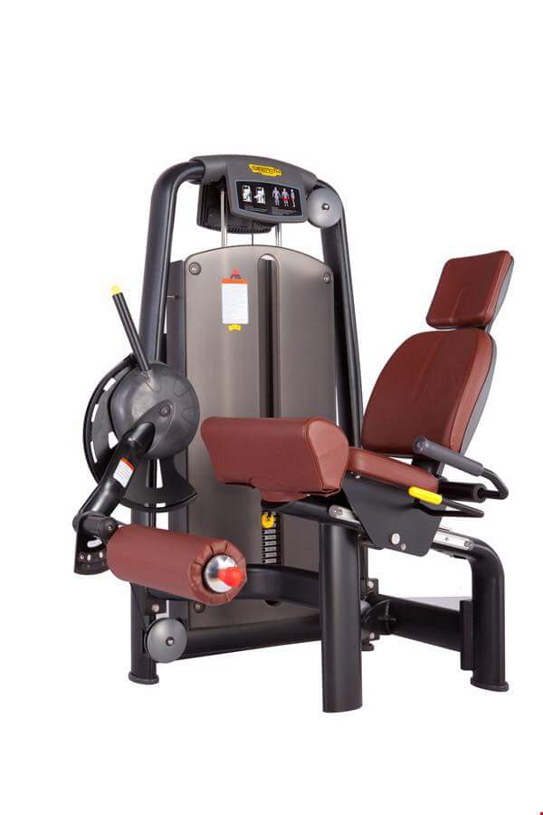 Máy tập cơ Technogym TNG029