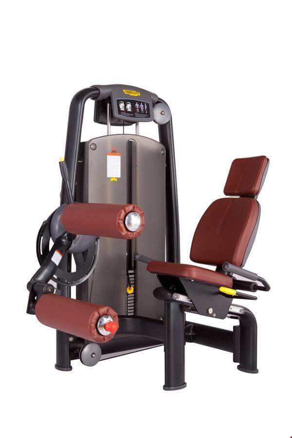 Máy tập cơ Technogym TNG030