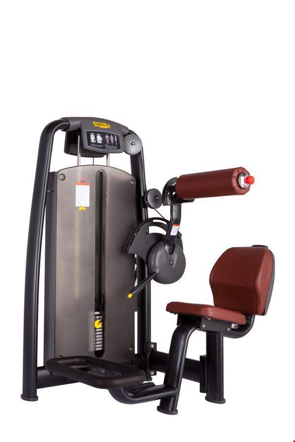 Máy tập cơ Technogym TNG037