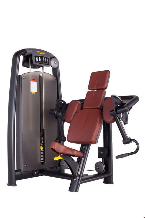 Máy tập cơ Technogym TNG039